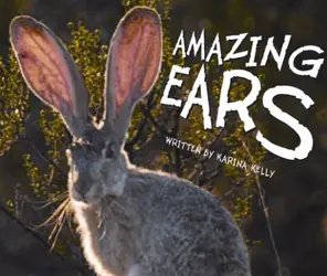 Gear Up, (Level I) Amazing Ears, 6-pack