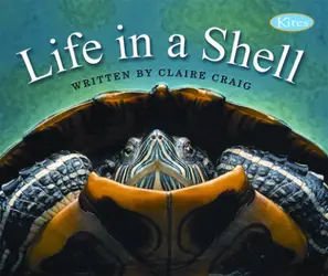 Gear Up, Life In A Shell, Grade 2, Single Copy