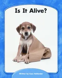 Wright Skills, Is It Alive? 6-pack