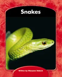 Wright Skills, Snakes 6-pack