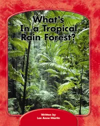 Wright Skills, What's in a Tropical Rain Forest? 6-pack