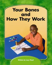 Wright Skills, Grade PreK-3, Your Bones and How They Work 6-pack