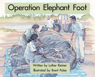 Springboard, Operation Elephant Foot (Level G) 6-pack