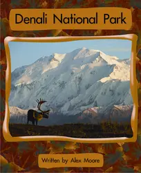 Springboard, Denali National Park (Level J) 6-pack