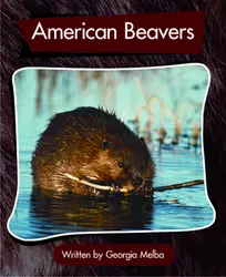 Springboard, American Beavers (Level L) 6-pack