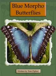 Springboard, Blue Morpho Butterflies (Level O) 6-pack