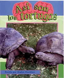 Storyteller, Spanish, Setting Sun, (Level I) Turtle Talk, Así son las tortugas 6-pack
