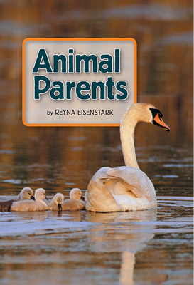 Science, A Closer Look, Animal Parents (6 copies)
