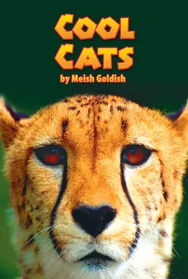 Science, A Closer Look, Grade 3, Cool Cats (6 copies)