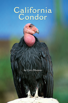 Science, A Closer Look, Grade 3, California Condor (6 copies)