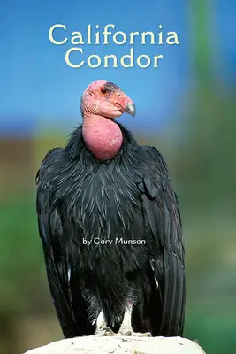 Science, A Closer Look, Grade 3, California Condor (6 copies)