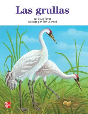 Decodificables Book 30 las grullas Decodificables Book 30 las grullas
