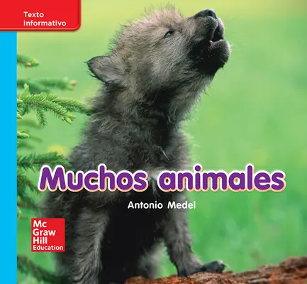 Lectura Maravillas Leveled Reader Muchos animales: On-Level Unit 7 Week 1 Grade K