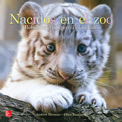 Lectura Maravillas Literature Big Book: Nacidos en el zoo Grade K
