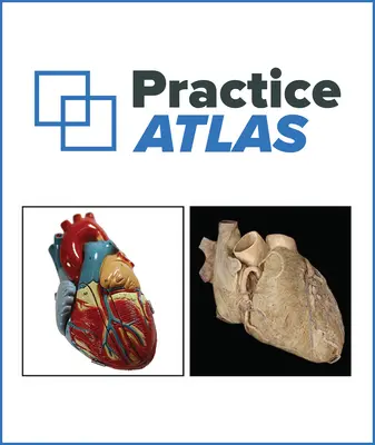Connect Online Access for Practice Atlas for Anatomy & Physiology