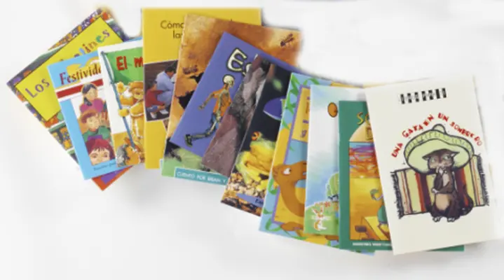 ¡Viva el español!: ¿Qué tal?, Classroom Library Set (12 Books)