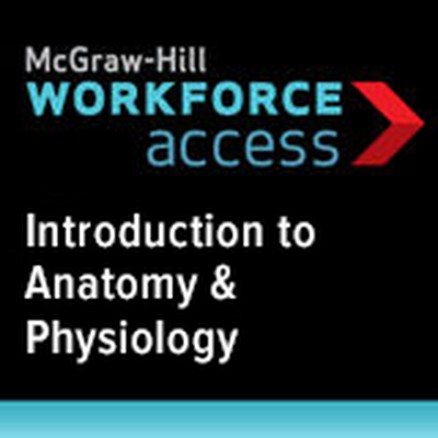 Introduction to Anatomy & Physiology, 1 year subscription