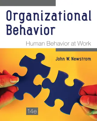 Organizational Behavior: Human Behavior at Work Organizational Behavior: Human Behavior at Work