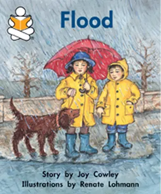 Story Box, (Level H) Flood