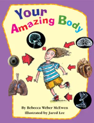 Wright Literacy, Your Amazing Body (Fluency) Big Book