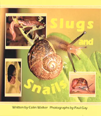 Wonder World, Slugs and Snails
