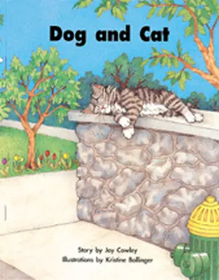 Story Basket, Dog and Cat, Big Book
