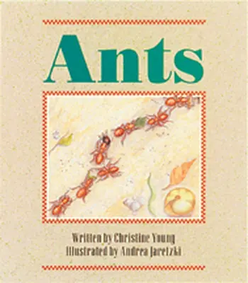 Wonder World, Ants