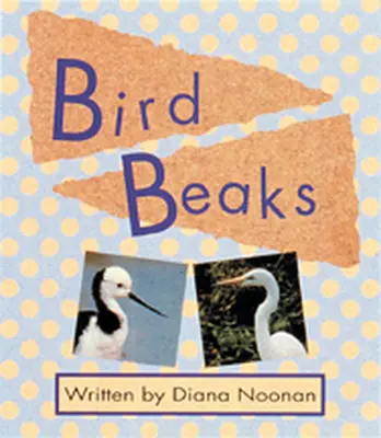 Wonder World, (Level K) Bird Beaks 6-pack