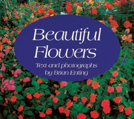 Wonder World, (Level B) Beautiful Flowers 6-pack
