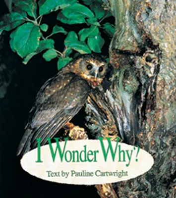 Wonder World, (Level G) I Wonder Why? 6-pack