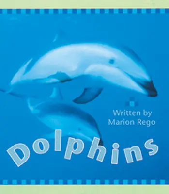 Wonder World, Dolphins