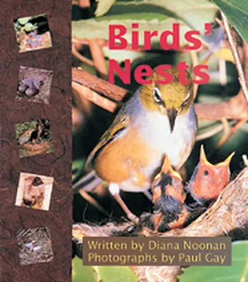 Wonder World, (Level L) Birds' Nests 6-pack