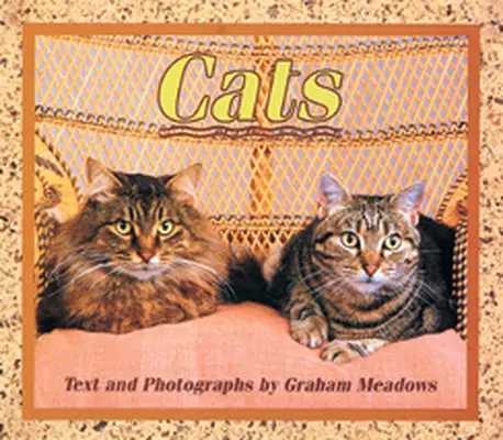 Wonder World, (Level F) Cats 6-pack