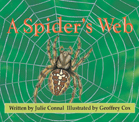 Wonder World, A Spider's Web