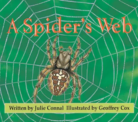 Wonder World, A Spider's Web
