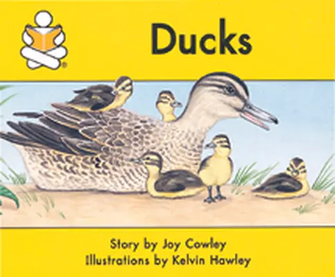 Story Box, Ducks