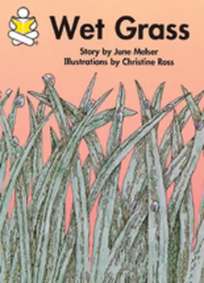 Story Box, Wet Grass