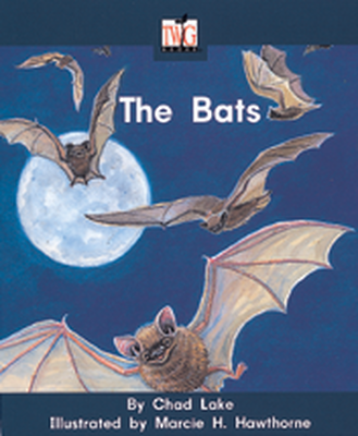 TWIG, (Level A) Bats 6-pack