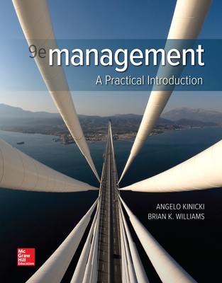 Management: A Practical Introduction 9e
