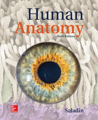 Human Anatomy Human Anatomy