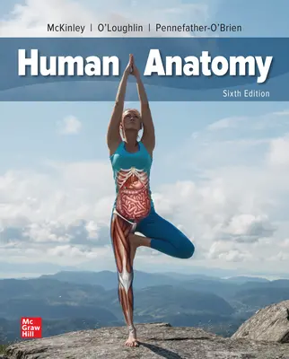 Human Anatomy Human Anatomy