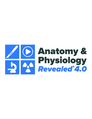 Standalone Online Access for Anatomy and Physiology Revealed V. 4.0 Online 6yr Student Edition