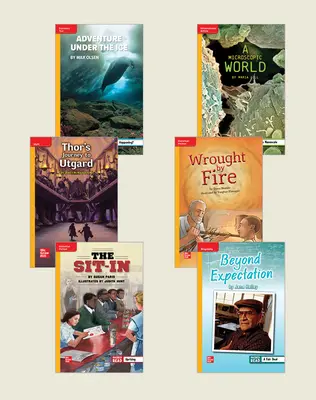 WonderWorks Grade 6 Apprentice Leveled Reader Package 1 each of 30 WonderWorks Grade 6 Apprentice Leveled Reader Package 1 each of 30