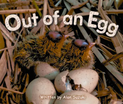 Gear Up, Out of An Egg, Grade 1, Single Copy