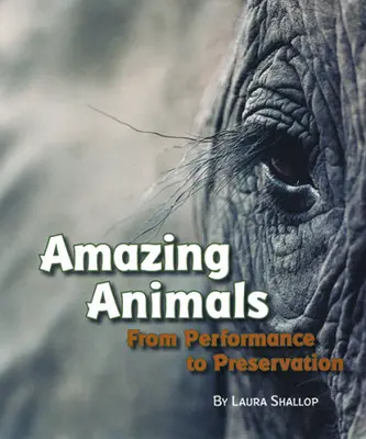 Explore More Grade 6: (Level X) Amazing Animals: From Performance to Preservation, 6-pack