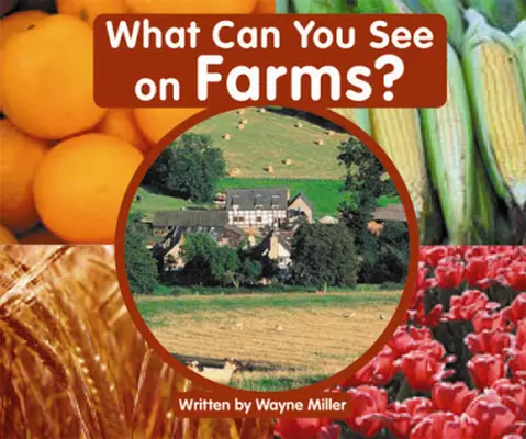 Gear Up, (Level A) What Can You See on Farms?, 6-pack