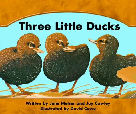 Wright Skills, Three Little Ducks Big Book