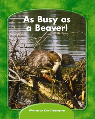 Wright Skills, Grade PreK-3, As Busy as a Beaver!, 6-pack