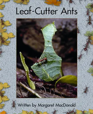 Springboard, Leaf Cutter Ants (Level L) 6-pack