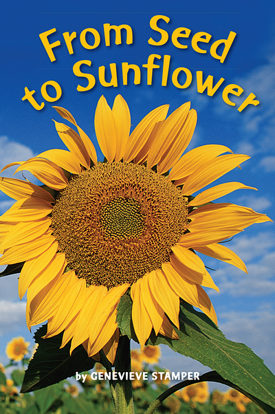 Science, A Closer Look, Grade K, Ciencias: Leveled Reader - From Seed to Sunflower